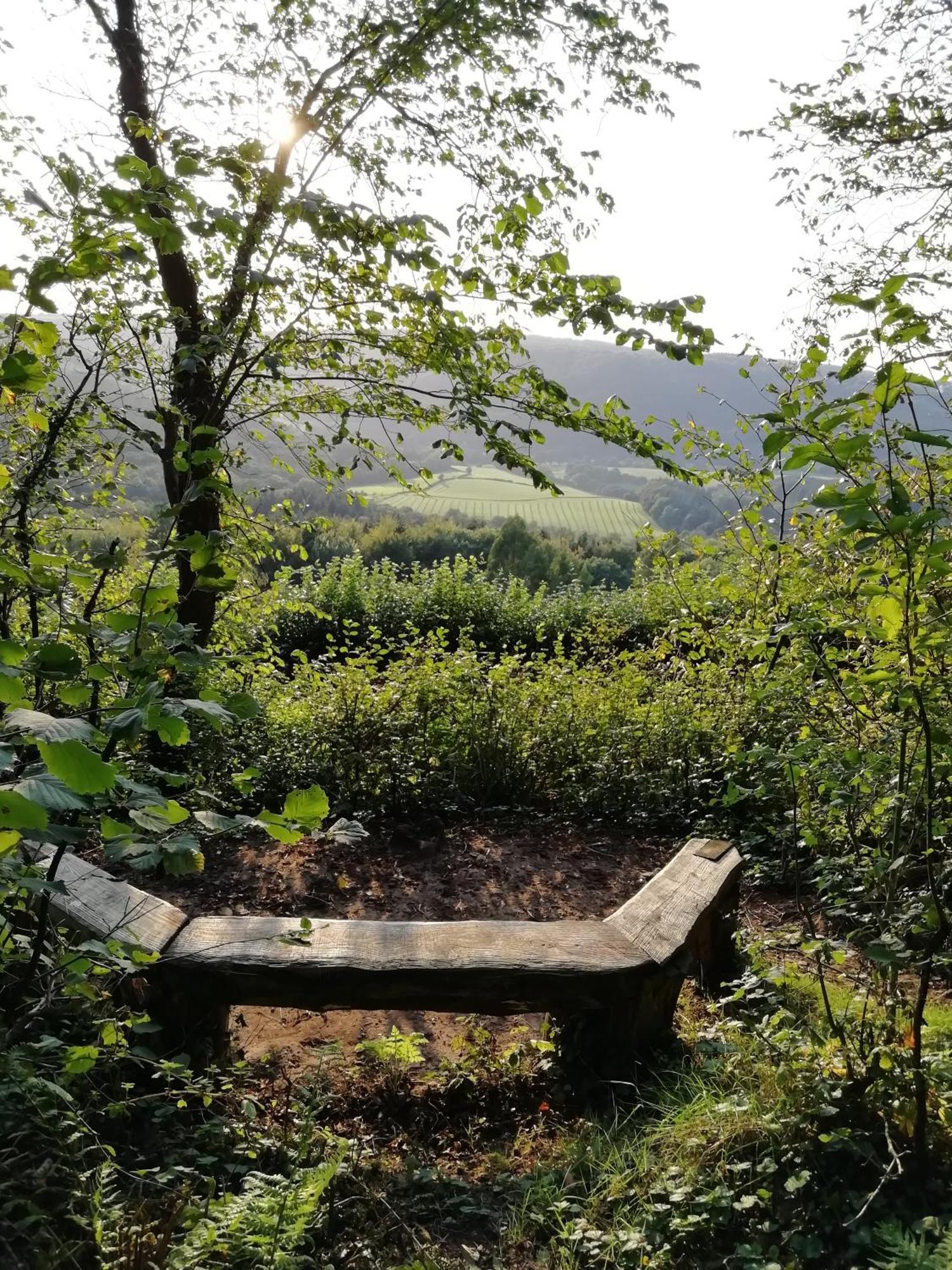 Hayloft Studio In Historic Barn Saint Briavels 外观 照片